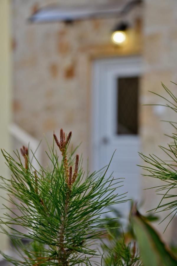 Villa Evdokia II Μακρύγιαλος Εξωτερικό φωτογραφία