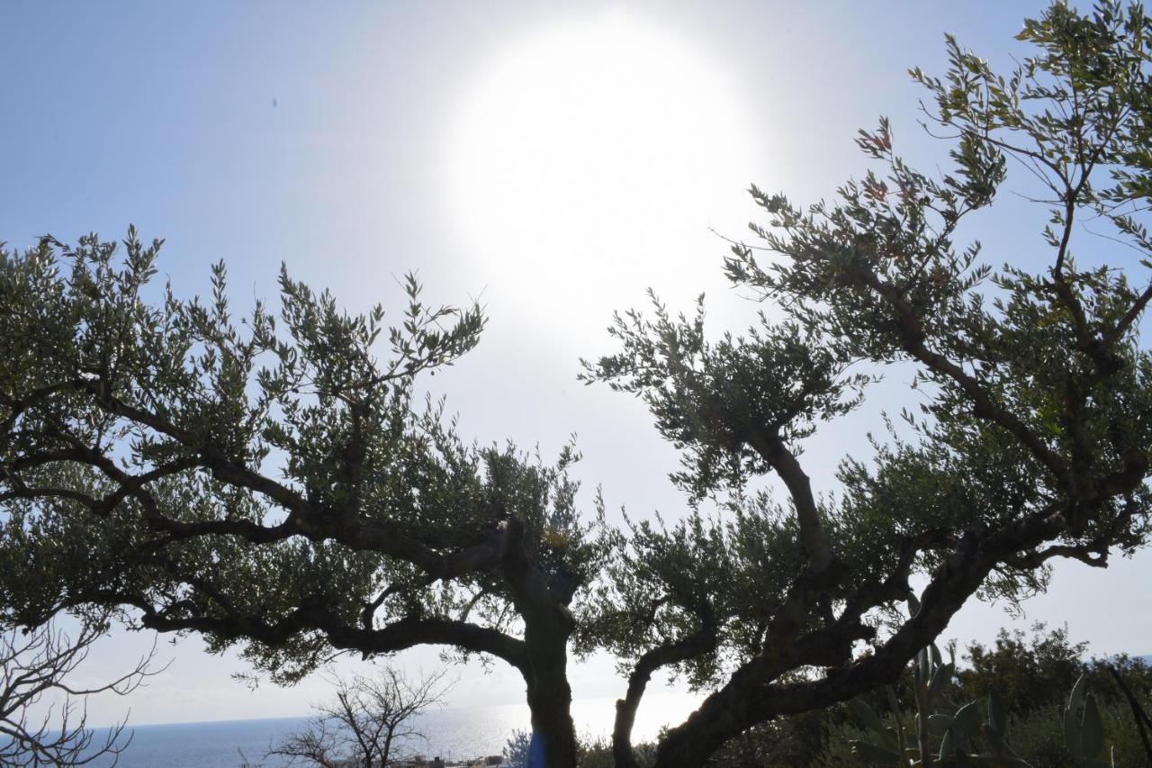 Villa Evdokia II Μακρύγιαλος Εξωτερικό φωτογραφία