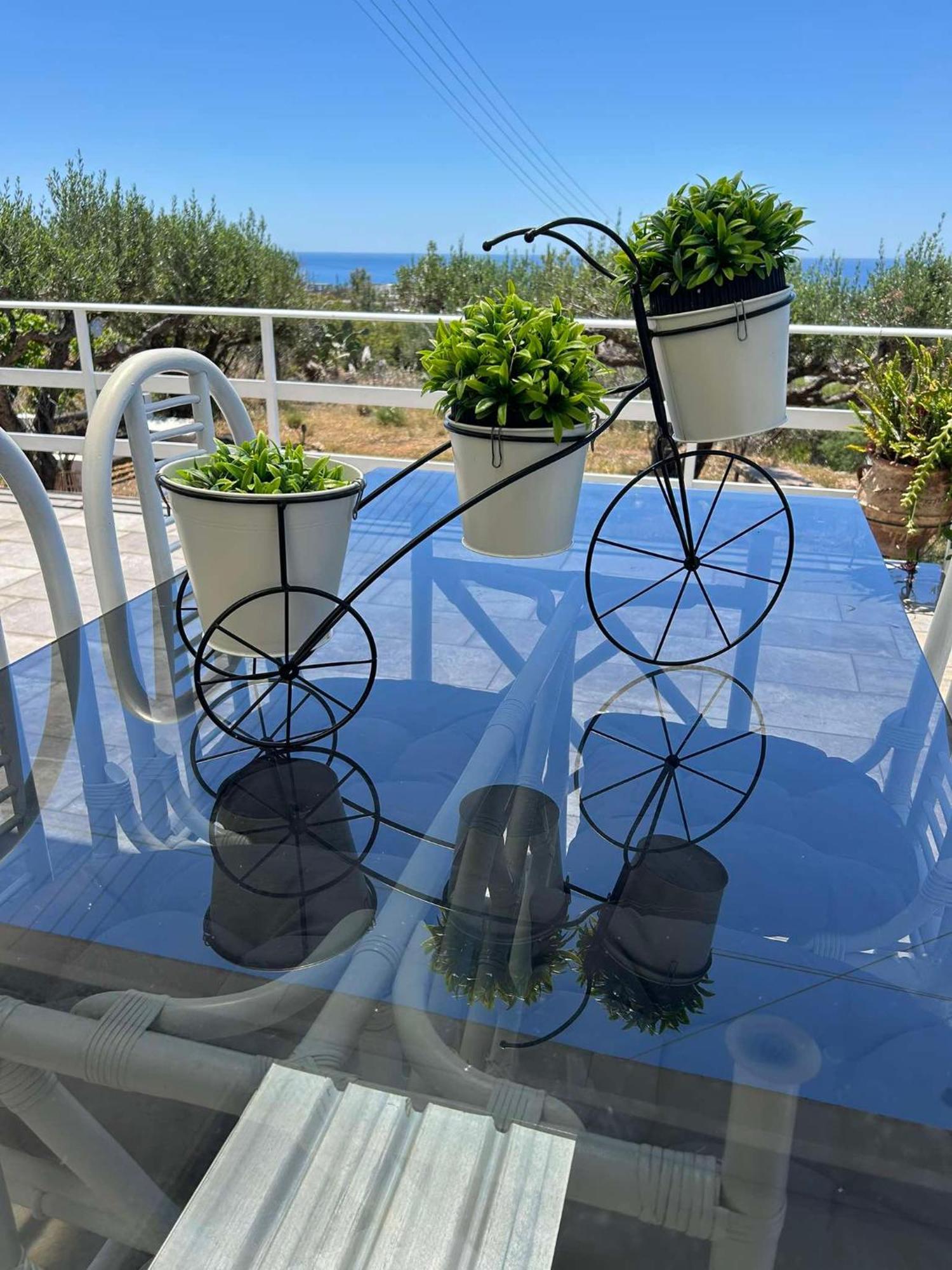 Villa Evdokia II Μακρύγιαλος Εξωτερικό φωτογραφία